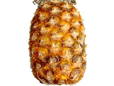 Pineapple isolated on white background Фото