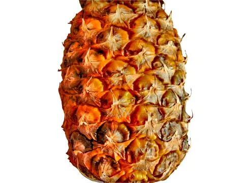 Pineapple isolated on white background Фото