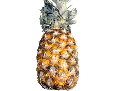 Pineapple isolated on white background 스톡 사진