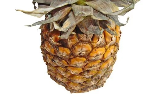 Pineapple isolated on white background Fotos de archivo