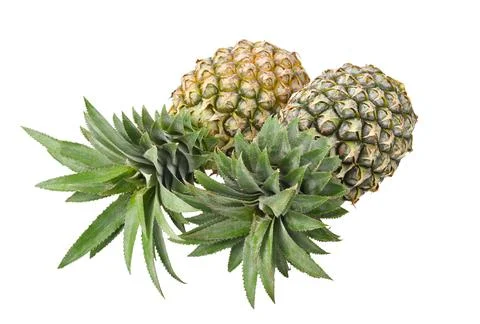 Pineapple isolated on white background. Stock-Fotos