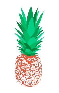 Pineapple isolated on white background, vector illustration. Illustrazione stock