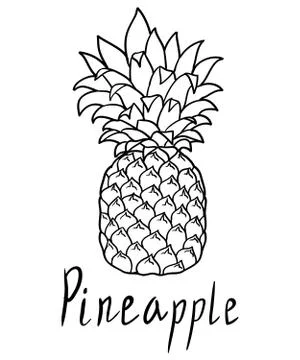Pineapple  isolated on white Stock Illustration