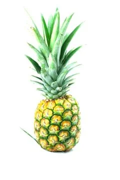 Pineapple isolated on white Stock Photos