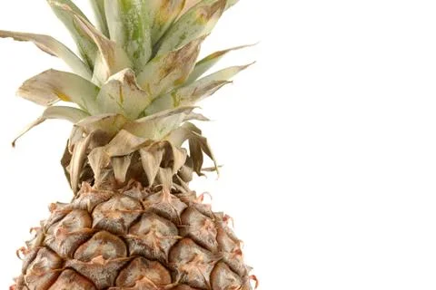 Pineapple isolated on white Stock Photos