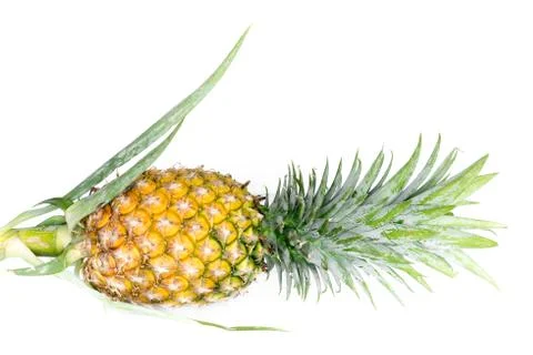 Pineapple  isolated on white. 스톡 사진