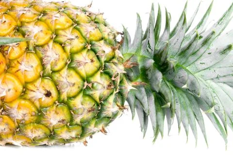 Pineapple  isolated on white. Stock Photos