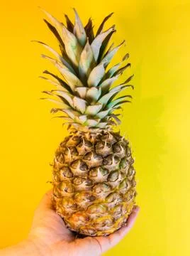 Pineapple isolated on yellow Stock Photos