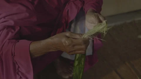 Pineapple leaf fiber separation manually 2 스톡 동영상 167373598