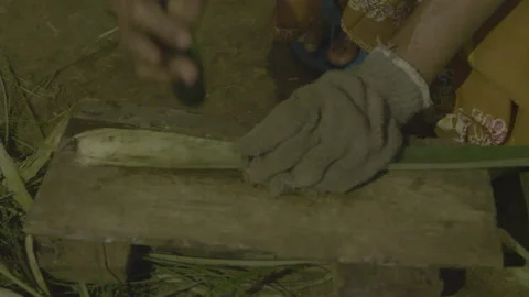 Pineapple leaf fiber separation manually 스톡 동영상 167374279