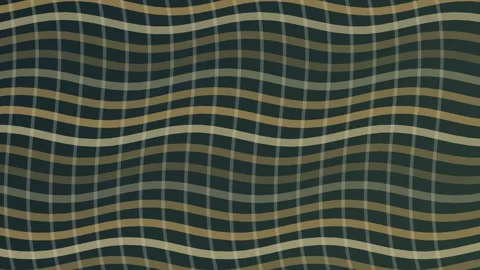 Pineapple Leaf Fiber Weave Premium Tactile Loop Stock Footage 346552857
