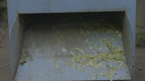 Pineapple leaf separating machine 2 스톡 동영상 167373433