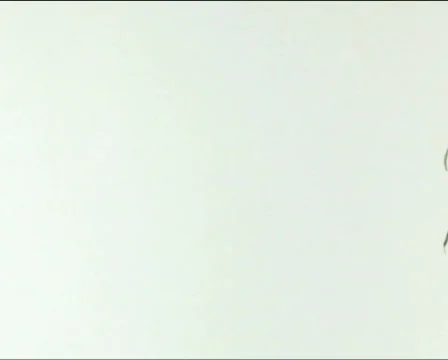 Pineapple leaves flyby PAL Stock-Footage 735217