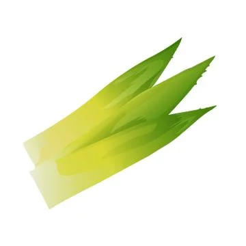 Pineapple leaves isolated on white background Stock Illustration