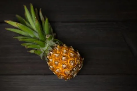 Pineapple with leaves. Stock Photos