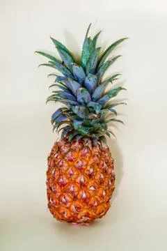Pineapple on a light background Stock Photos