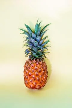 Pineapple on a light background Stock Photos