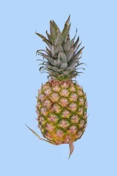 Pineapple on light blue background Stock Photos