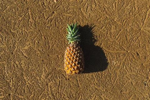 The pineapple is lying on yellow sand with patterns Stock Photos