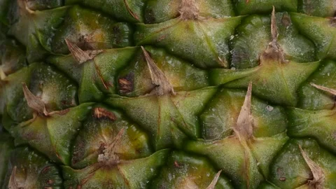 Pineapple in a macro rotating shot Stock Footage 249946464