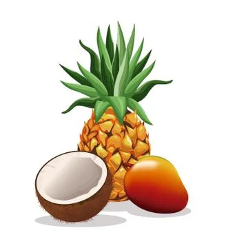 Pineapple mango and coconut fruit fresh harvest Stock Illustration