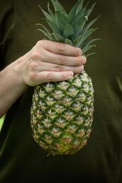 Pineapple in man's hand Stock Photos
