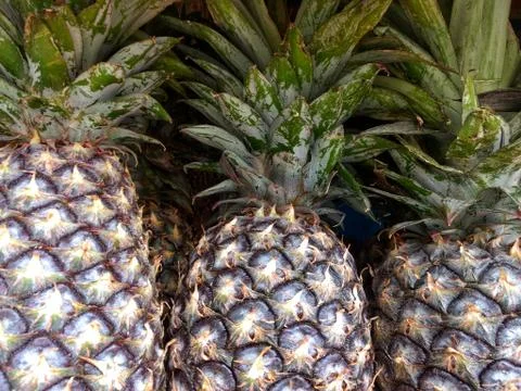 Pineapple at the market Stock Photos