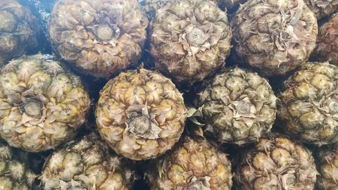 Pineapple in the market Fotos de archivo