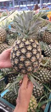 Pineapple at the market. Stock-Fotos