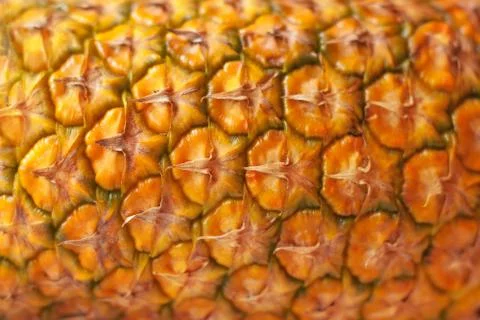 Pineapple natural texture Stock Photos