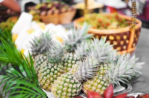 Pineapple is nature  fruit in soft light Stock Photos