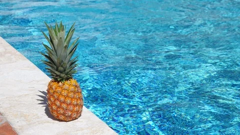 Pineapple near swimming pool at poolside 動画素材 103798139