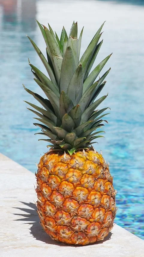 Pineapple near swimming pool at poolside. Summer holidays. Vertical  footage 動画素材 301740866