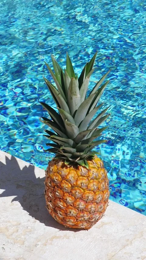 Pineapple near swimming pool at poolside. Summer holidays. Closeup. Vertical 動画素材 306031344