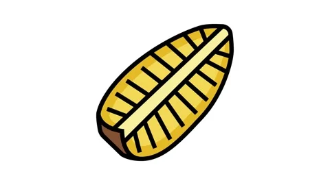 Pineapple one big slice color icon animation Stock Footage 225053589