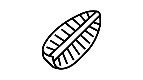 Pineapple one big slice line icon animation Stock Footage 224812584