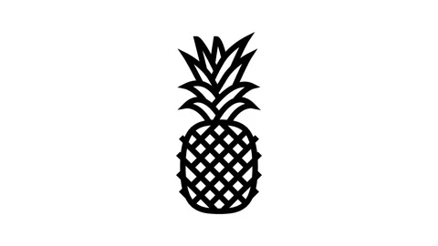 Pineapple one whole line icon animation Stock Footage 224385243