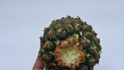 Pineapple or Ananas comosus on white background. Stock Footage 318665433