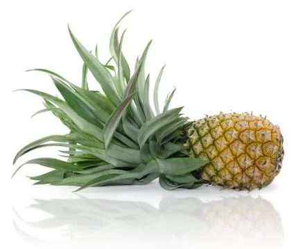 Pineapple or nanas isolated on white Stock Photos