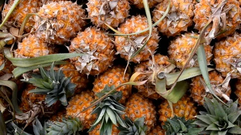 Pineapple or Ripe pineapple, Pile of Organic Pineapple at the market Stock Footage 53766898