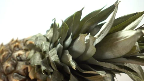 Pineapple, orange and apple close-up Stock Footage 86485573