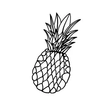 Pineapple in outline doodle style Stock Illustration