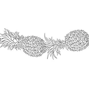 Pineapple Outline Horizontal Seamless Pattern. Stock Illustration