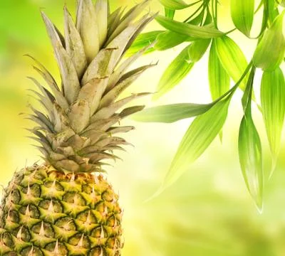 Pineapple over abstract blurred background Stock Illustration