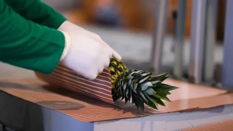 Pineapple packaging Stock Footage 172263828