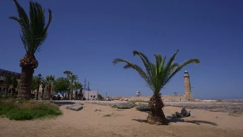 PINEAPPLE PALM TREES HARBOUR RETHYMNON CRETE Stock Footage 70712967