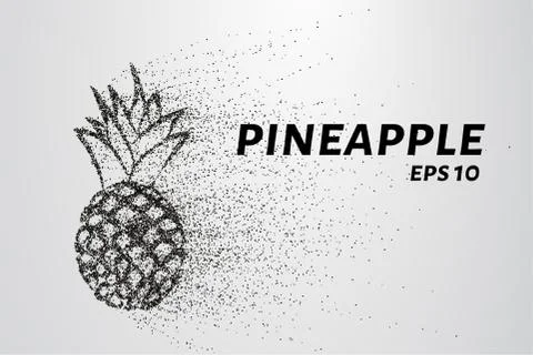 Pineapple of particles. Pineapple consists of small circles and dots. Vecto.. Stock Illustration