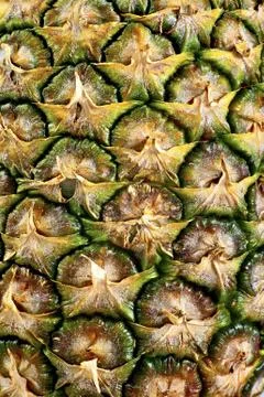Pineapple pattern background. Photos