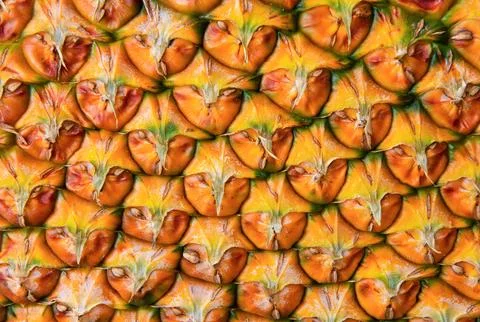 Pineapple pattern. Summer concept. Texture of pineapple skin. Patterned fruits Stock Photos