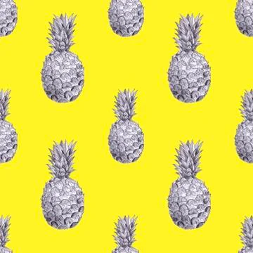 Pineapple pattern yellow background, pencil drawn, tropical illustration. Stock Photos